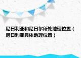 尼日利亚和尼日尔所处地理位置（尼日利亚具体地理位置）