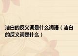 洁白的反义词是什么词语（洁白的反义词是什么）