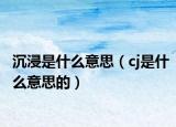 沉浸是什么意思（cj是什么意思的）