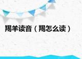 羯羊读音（羯怎么读）