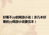 好看不yy的网游小说（求几本好看的yy网游小说要完本）