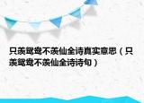 只羡鸳鸯不羡仙全诗真实意思（只羡鸳鸯不羡仙全诗诗句）