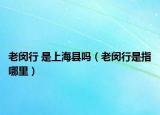 老闵行 是上海县吗（老闵行是指哪里）