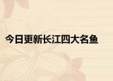 今日更新长江四大名鱼