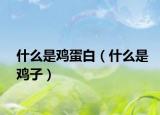 什么是鸡蛋白（什么是鸡子）