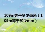 109m等于多少毫米（109m等于多少mm）