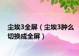 尘埃3全屏（尘埃3肿么切换成全屏）