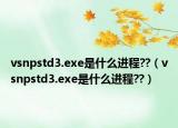 vsnpstd3.exe是什么进程??（vsnpstd3.exe是什么进程??）