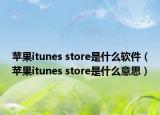 苹果itunes store是什么软件（苹果itunes store是什么意思）