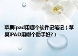 苹果ipad用哪个软件记笔记（苹果IPAD用哪个助手好?）