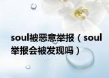 soul被恶意举报（soul举报会被发现吗）