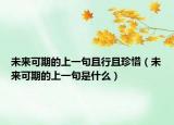未来可期的上一句且行且珍惜（未来可期的上一句是什么）