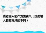 线路输入能作为麦克风（线路输入和麦克风的不同）