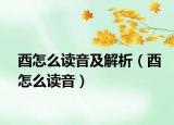酉怎么读音及解析（酉怎么读音）