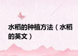 水稻的种植方法（水稻的英文）