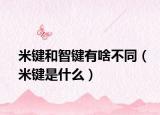 米键和智键有啥不同（米键是什么）