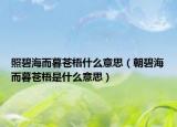 照碧海而暮苍梧什么意思（朝碧海而暮苍梧是什么意思）