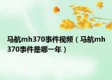 马航mh370事件视频（马航mh370事件是哪一年）