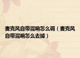 麦克风自带混响怎么调（麦克风自带混响怎么去掉）