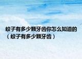 蚊子有多少颗牙齿你怎么知道的（蚊子有多少颗牙齿）