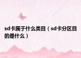 sd卡属于什么类目（sd卡分区目的是什么）