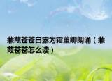 蒹葭苍苍白露为霜董卿朗诵（蒹葭苍苍怎么读）