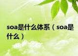 soa是什么体系（soa是什么）