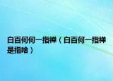 白百何何一指禅（白百何一指禅是指啥）