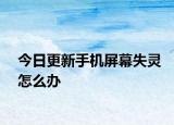 今日更新手机屏幕失灵怎么办