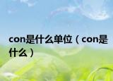 con是什么单位（con是什么）