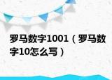 罗马数字1001（罗马数字10怎么写）