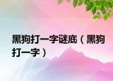 黑狗打一字谜底（黑狗打一字）