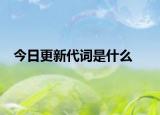 今日更新代词是什么