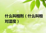 什么叫相刑（什么叫相对湿度）