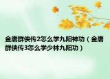 金庸群侠传2怎么学九阳神功（金庸群侠传3怎么学少林九阳功）
