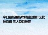 今日最新更新农村副业做什么比较靠谱 三大项目推荐