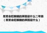 星星会眨眼睛的原因是什么二年级（星星会眨眼睛的原因是什么）