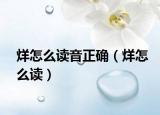 烊怎么读音正确（烊怎么读）