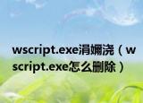 wscript.exe涓嬭浇（wscript.exe怎么删除）