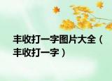 丰收打一字图片大全（丰收打一字）