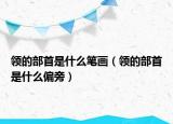 领的部首是什么笔画（领的部首是什么偏旁）