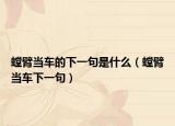 螳臂当车的下一句是什么（螳臂当车下一句）