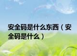 安全码是什么东西（安全码是什么）