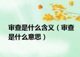 审查是什么含义（审查是什么意思）