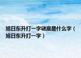 旭日东升打一字谜底是什么字（旭日东升打一字）
