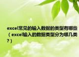 excel常见的输入数据的类型有哪些（excel输入的数据类型分为哪几类?）