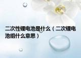 二次性锂电池是什么（二次锂电池组什么意思）