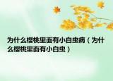 为什么樱桃里面有小白虫病（为什么樱桃里面有小白虫）
