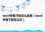 word字母下标怎么设置（word字母下标怎么打）