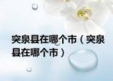 突泉县在哪个市（突泉县在哪个市）